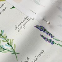 Aromatherapy with Texture and Text