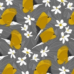 longnose butterflyfish and plumeria (small)