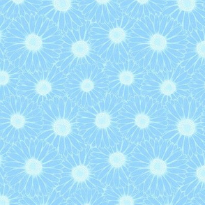 Gerbera Daisy - Light Blue