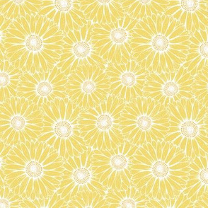 Gerbera Daisy - Yellow