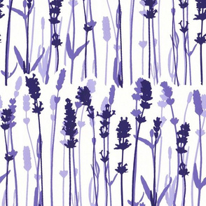 Lavender pattern aromatherapy