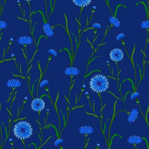 cornflowers on dark blue