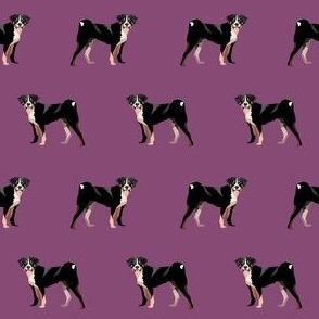 appenzeller sennenhund fabric - purple