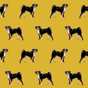 appenzeller sennenhund fabric - mustard