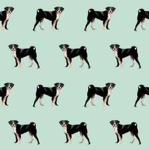 appenzeller sennenhund fabric - mint