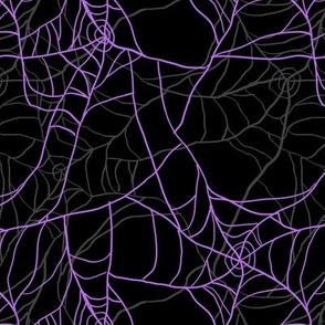 Layered Purple Spiderwebs