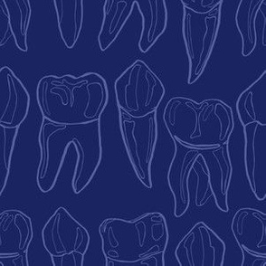 Teeth Blueprints