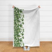 Romantic English Ivy Border Print