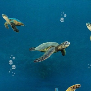 turtles under the sea - p.e. - large