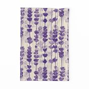 A Fragant Field - Large scale - Lavender, lavender field, lavender flowers, purple flower 