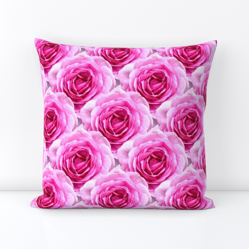 Tea Rose - Pink - Floral Pattern - Pastel Petal Elegance Art Deco