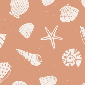 jumbo // Seashells Peach Sea shells beach seaside