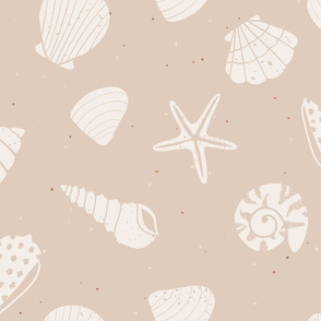 jumbo //  Seashells Sand Dollar shells seaside