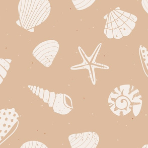 jumbo //  Seashells Sandy beach shells