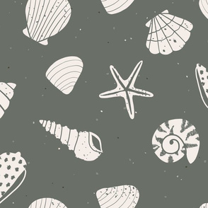 jumbo // Seashells Sea Green shells beach