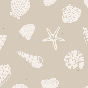 jumbo // Seashells Summer Sand Shells