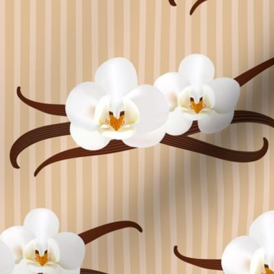 Vanilla Flowers Vanilla Pods vintage striped large Wallpaper