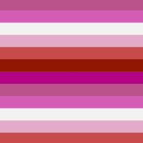 Lipstic Lesbian 1/2" Horizontal Stripes - Small