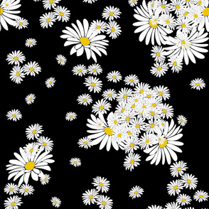 SCENTED DAISIES