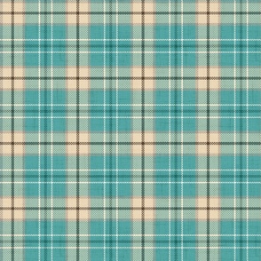 Headmaster Tartan Plaid Aqua Blue Beige Small Size