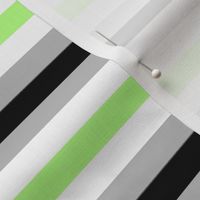 Agender Small 1/2" Horizontal Stripes