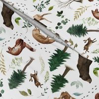 Woodland Animals in the Forest 