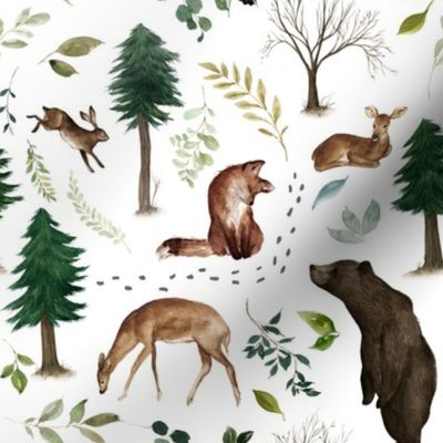 Woodland Animals in the Forest 
