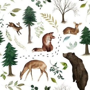 Woodland Animals in the Forest