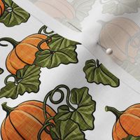 Pumpkin Patch - white - fall - harvest - LAD20