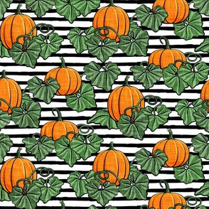 Pumpkin Patch - black stripes - fall - harvest - LAD20