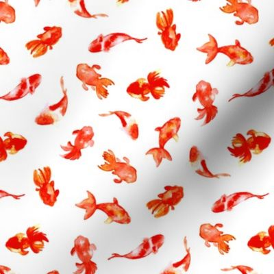 Watercolor Goldfish On White (Large Scale)
