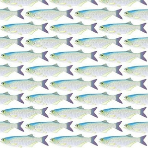 Goldeye print style colors