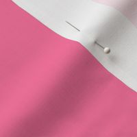 Genderfluid X-Large Vertical Stripes