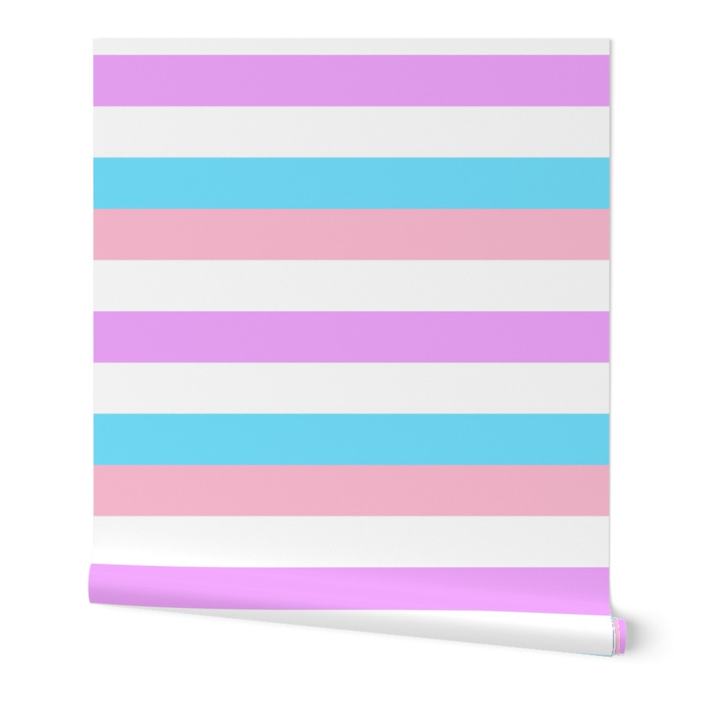 Bigender Large Horizontal Stripes