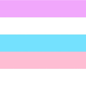 Bigender Large Horizontal Stripes