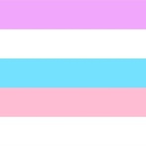 Bigender Medium Horizontal Stripes