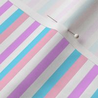 Bigender Mini Horizontal Stripes