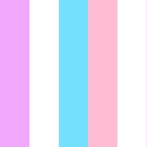 Bigender Large Vertical Stripes