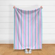 Bigender Medium Vertical Stripes