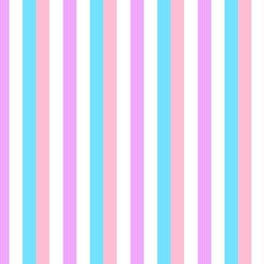 Bigender Mini Vertical Stripes