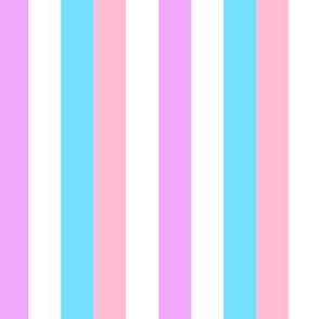 Bigender Small Vertical Stripes