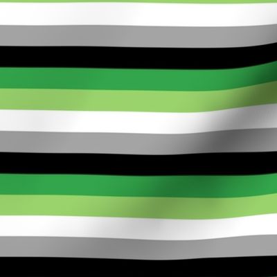 Aromantic Small Horizontal Stripes