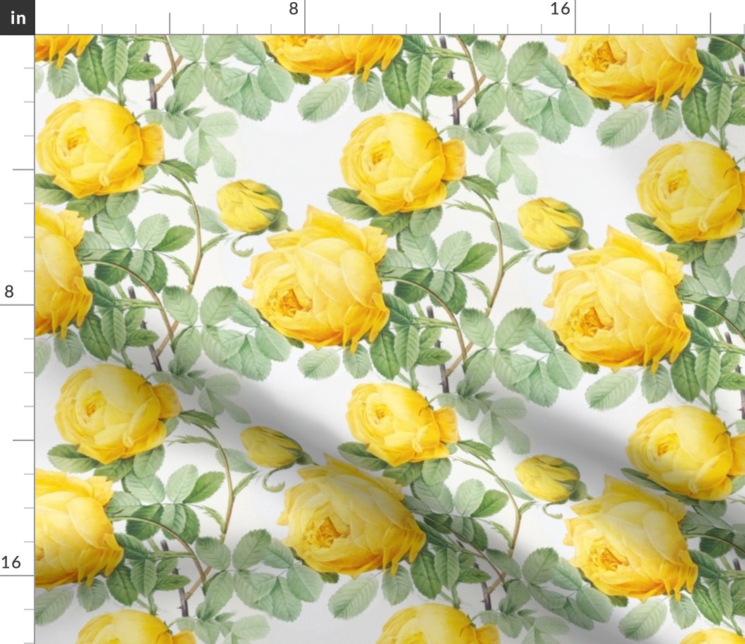 Yellow vintage roses (large)