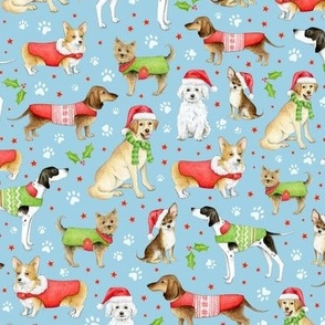 Dogs in Christmas Coats and Hats on baby blue - medium scale