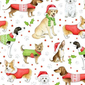 Dogs in Christmas Coats and Hats on white - medium-large scale