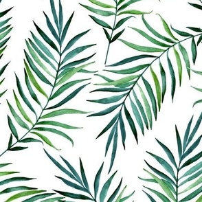 Palm leaves