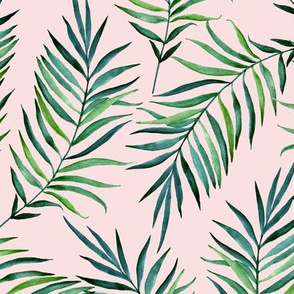 Palm leaves. Pink background