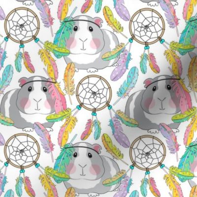 large guinea pigs and dreamcatchers