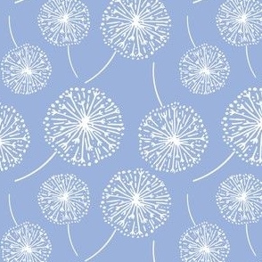 Dandelion clocks white on blue (medium)