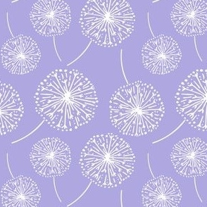 Dandelion clocks white on lilac (medium)